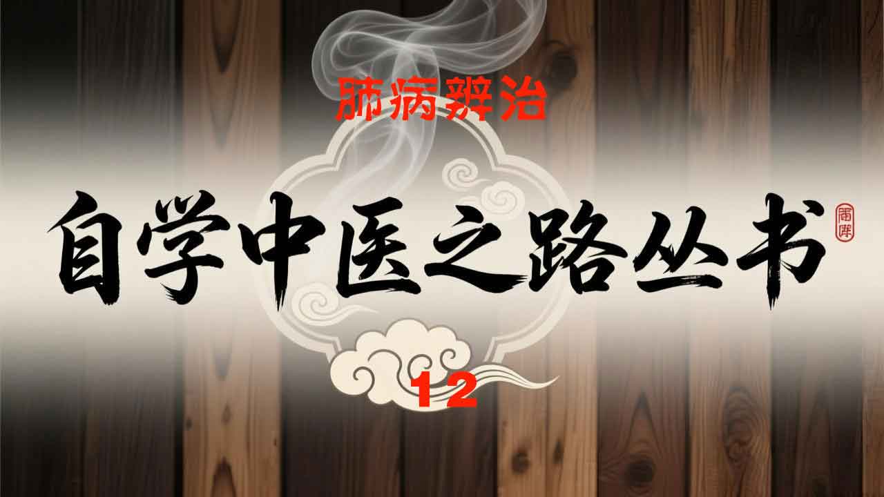 自学中医之路丛书12肺病辨治