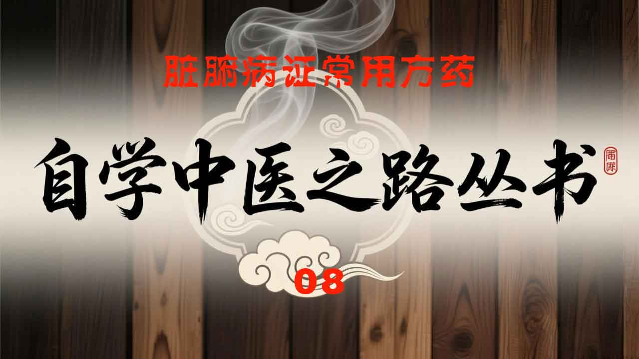 自学中医之路丛书08脏腑病证常用方药